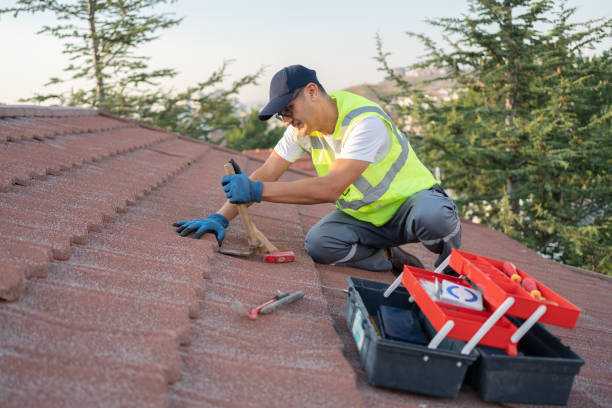 Best Roof Leak Repair  in Geneva, IN